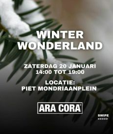 Winter Wonderland Festijn